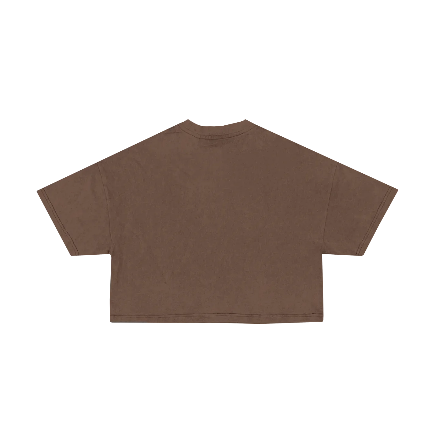Heavy Weight Cropped T-Shirt - Braun Back